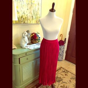 Stonbridge Petites Vintage broom stick Skirt